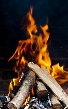 Flames burning from a log wood