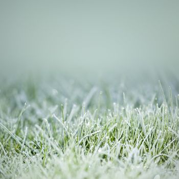 An image of an autumn icy grass