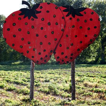 large shield with two red strawberries on a field
