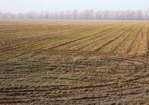 Bare agricultural field in autumn