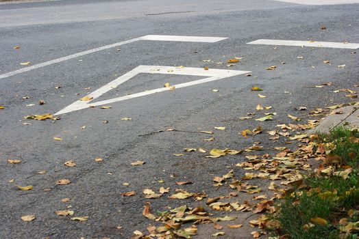 Asphalt road with fallen autumn leaves on it