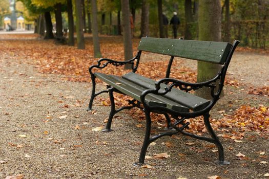 Bench in an autumn park with fallen leaves