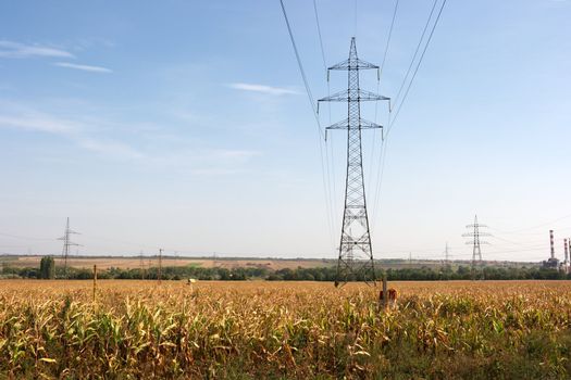 High voltage electric lines going through an agricultural field