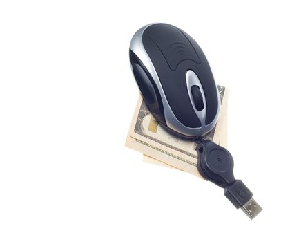 small computer mouse with money concept isolated on withe background