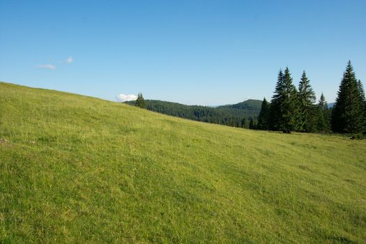 Simple green field on a hilly landscape