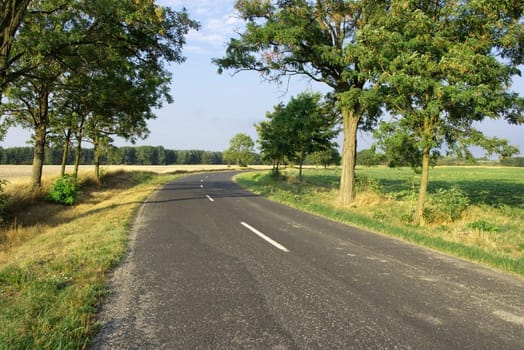 Turning road in the countryside