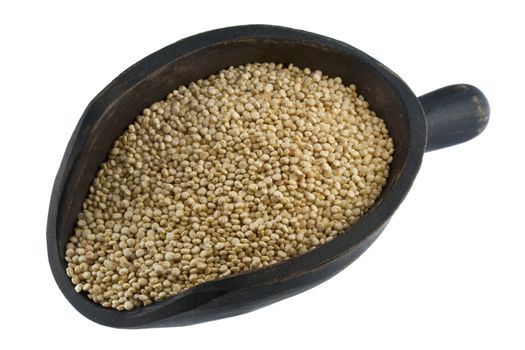 quinoa grain on a rustic, wooden scoop, isolated on white
