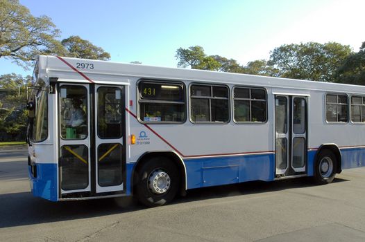 white/blue sydney bus with driver, without passengers