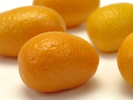 kumquat