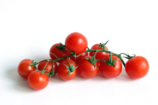 tomatoes bunch (pachino) over a white background