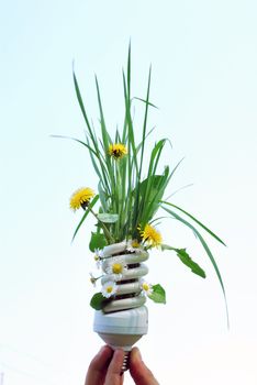 ecologic light bulb with green plants and flowers