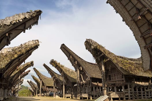 Toraja traditional village housing in Indonesia, Sulawasi