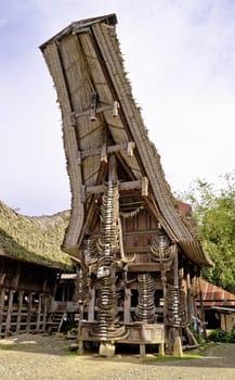 Toraja traditional village housing in Indonesia, Sulawasi