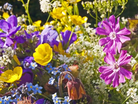 posy of flowers