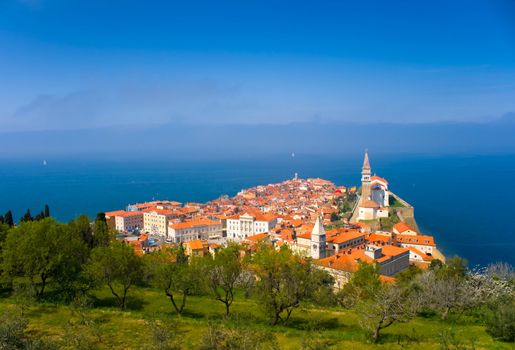 Beautiful Town on the Coast (Piran)