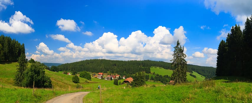 Sumer landscape - green fields, the blue sky