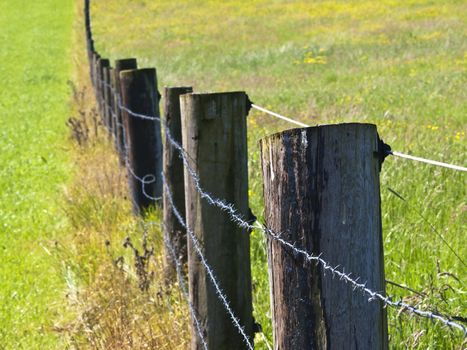 fence with barbwire