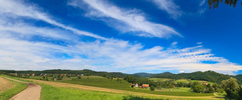 Sumer landscape - green fields, the blue sky