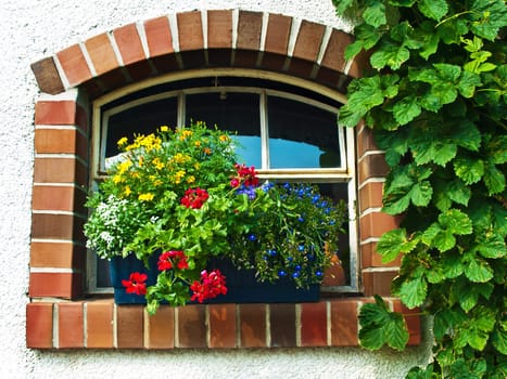 nostalgic window with flowers