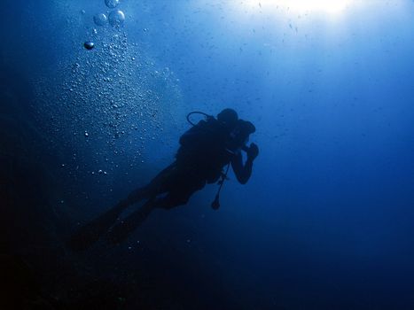 Underwater cameraman in back-light.