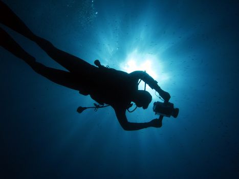 Underwater cameraman in back-light.