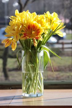 Bouquet of the fresh tulips in vase of glass, against window.