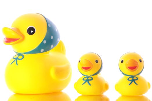 three yellow ducks (toys) isolated on white background