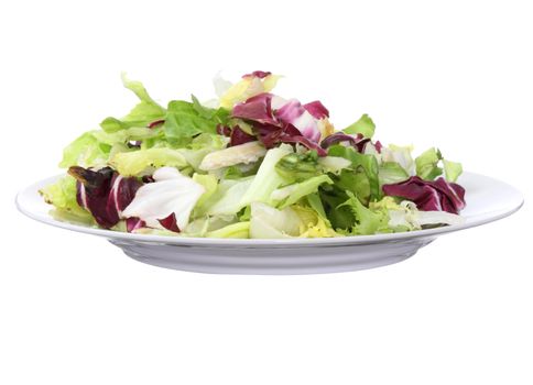 Vegetarian salad on plate isolated