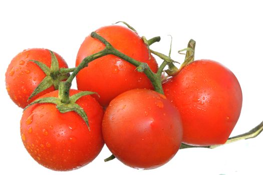 Fresh wet tomatos isolated on white background