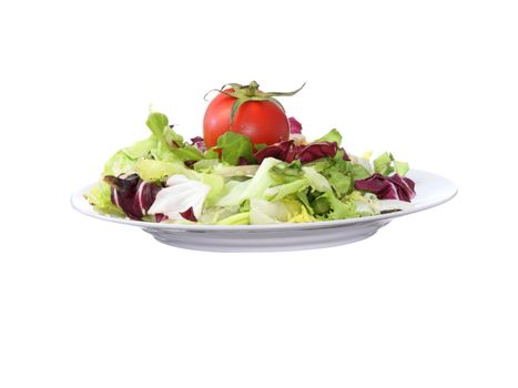 Vegetarian salad with tomato isolated on white background