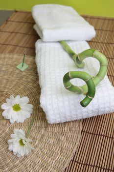 Spa design with lucky bamboo on towel