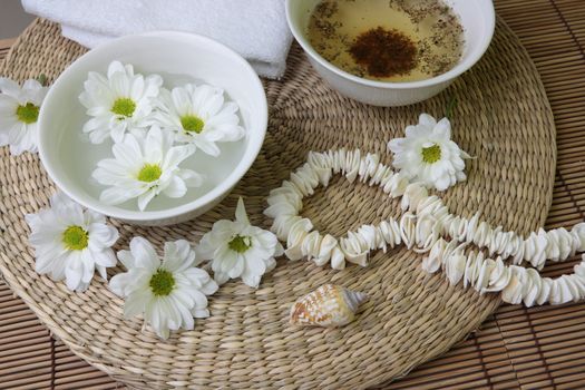 Spa design with herb and daisy