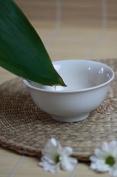 Tropical Spa background (green leaf, white flowers, oil)