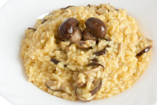 plate of risotto with mushrooms isolated on white background with clipping path