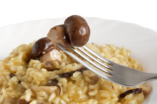 plate of risotto with mushrooms isolated on white background with clipping path