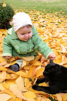 baby and cat at a park in Autumn