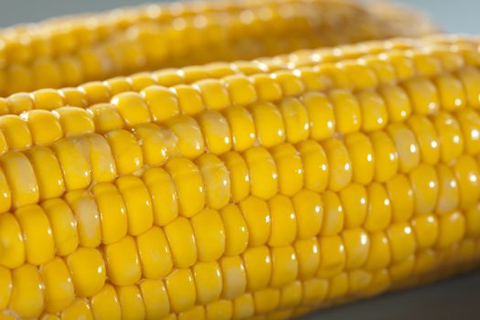 Fresh corn on the cob in closeup shot