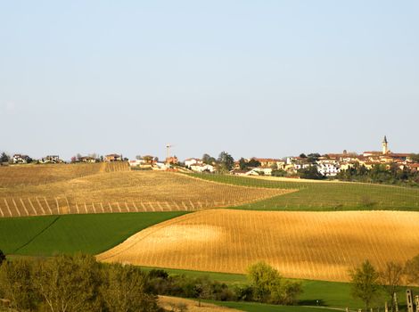 Landscape of green countryside