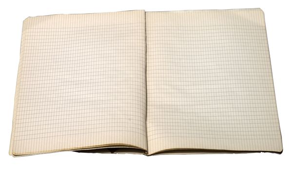 Two pages of aged notebook with big squares 