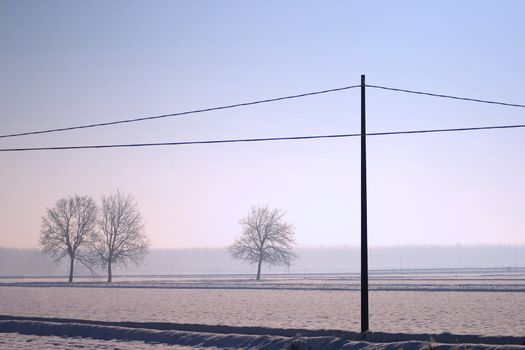 Landscape of snow, trees and a light pole