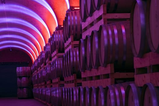 Cellar full of wooden barrels