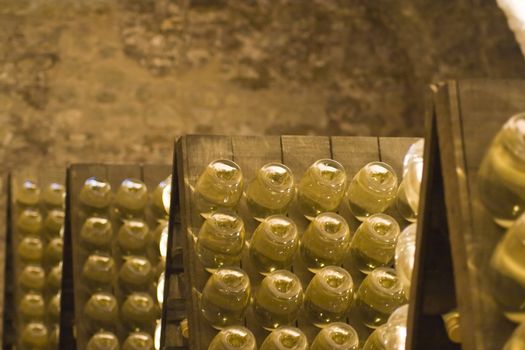 Closeup of bottles of wine aging in an old cellar