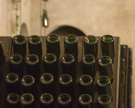 Closeup of bottles of wine aging in an old cellar