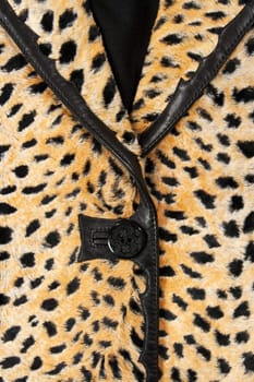 Close-up of a stylish leopard jacket with black leather parts.