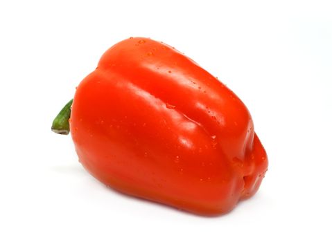 Orange bulgarian pepper insulated on white background