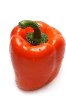 Orange bulgarian pepper insulated on white background