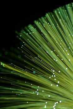 Fiber optics close-up, modern computer communication technology