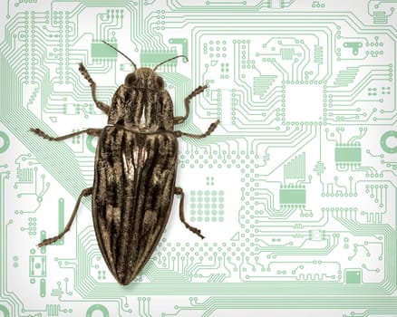 Beetle symbolizes a computer bug - the collage