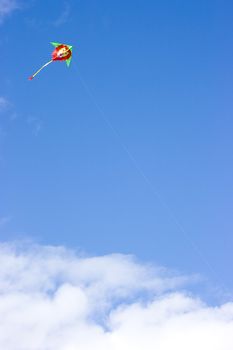 Kite soaring in the blue sky in the form of a lion