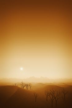 An image of a nice desert landscape